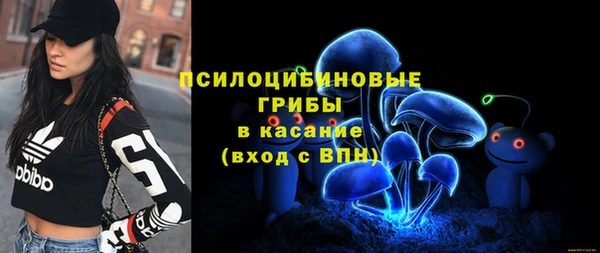 ECSTASY Алексеевка