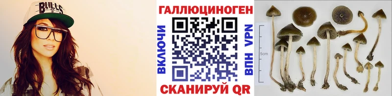 Галлюциногенные грибы прущие грибы Крым